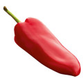Pimenta da Jamaica