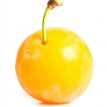 Ameixa Mirabelle